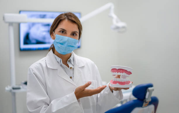 Best Emergency Dental Services for Seniors in Cheval, FL