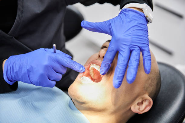 Best Orthodontic Emergency Dentist in Cheval, FL